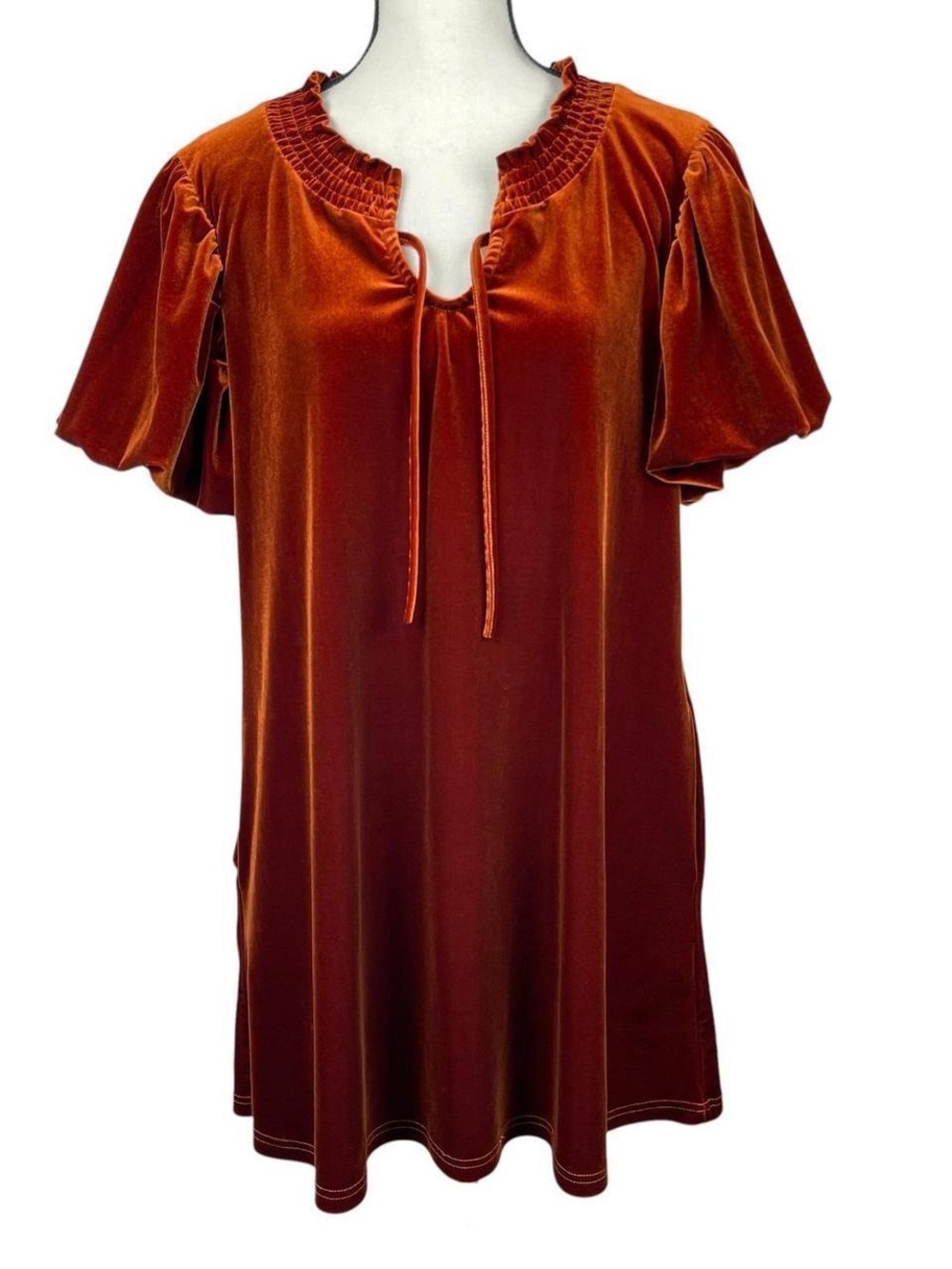 entro Rust Velvet Tie-Neck Tunic/Mini Dress